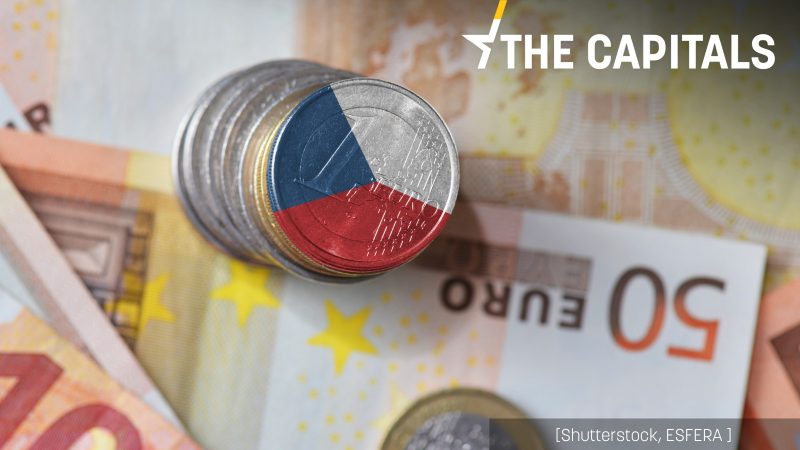 Einführung des Euro in Tschechien schreitet "deutlich" voran