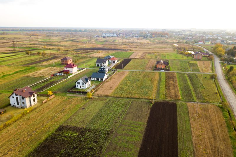 Nach Bauernprotesten: EU-Grüne versuchen sich Landwirten anzunähern