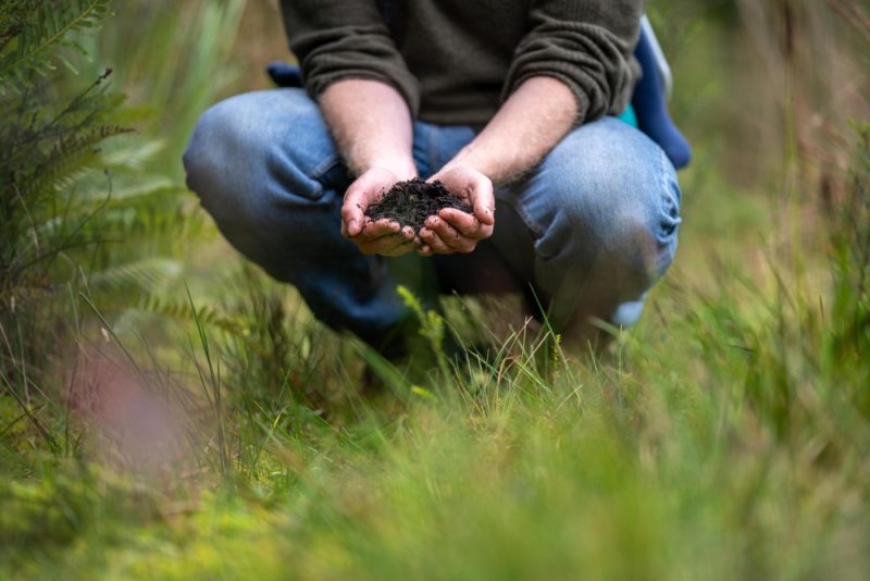 Carbon Farming: Zertifizierung umfasst Boden- und Feuchtgebietsmanagement