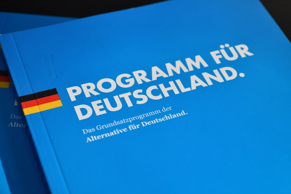 Burgdorf,,Lower,Saxony,,Germany,-,January,18,,2024:,Afd,Party