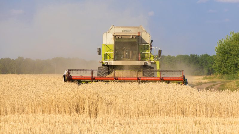 Polen führt nach Druck von Bauern neue Zollkontrollen an ukrainischer Grenze ein