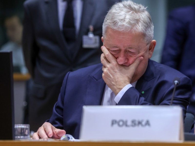 Osteuropäische EU-Staaten fordern erneut Einfuhrbeschränkungen für russisches Getreide