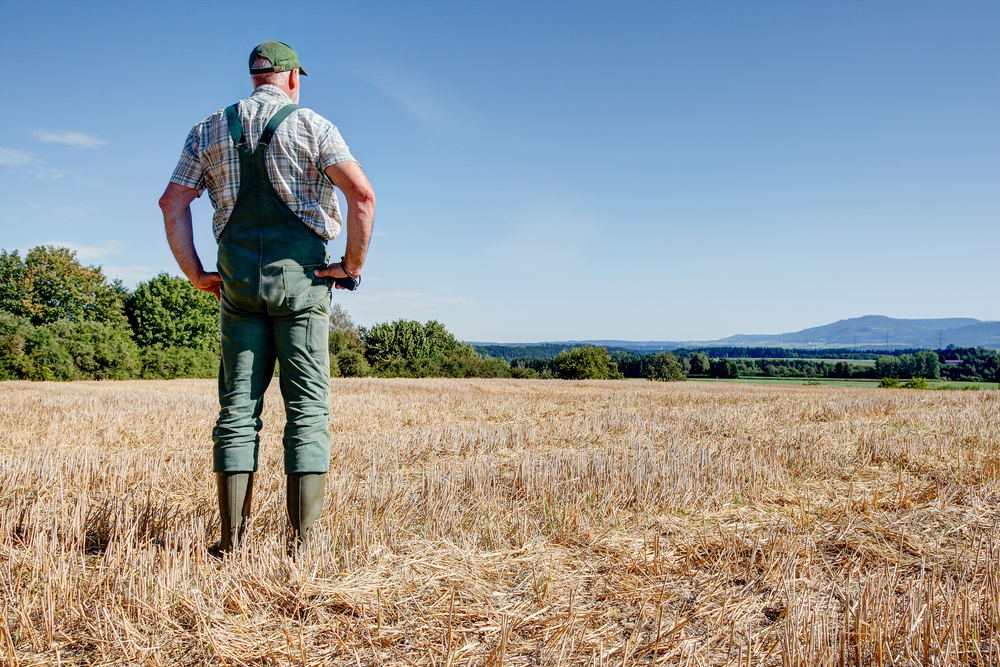 After,The,Harvest,,A,Farmer,Stands,On,His,Mown,Grain