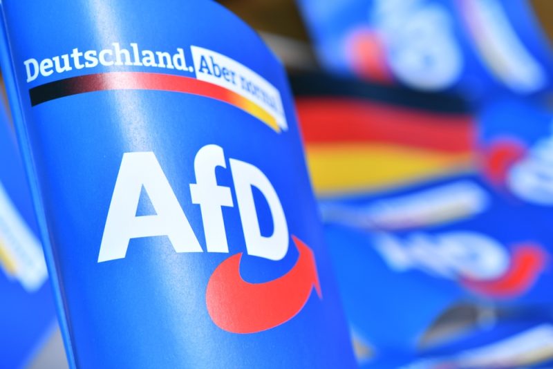 Kurz vor Europawahlen: AfD-Delegation rebelliert gegen Parteivorsitzende