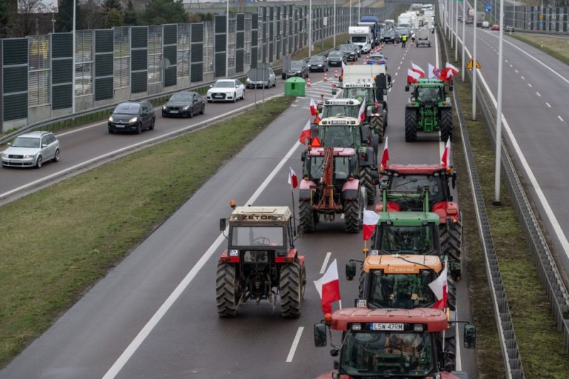 Kommunalwahlen in Polen: Bauernproteste beeinflussten Wahlausgang