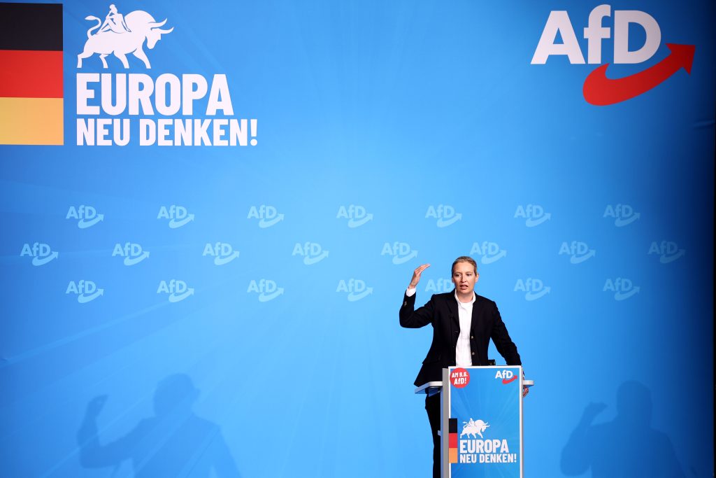 German far-right AfD party kicks off EU election campaign in Donaueschingen