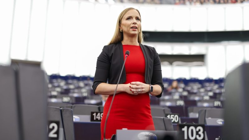 Schwedens Euroskeptiker wollen EU-weite Umverteilung von Gefangenen