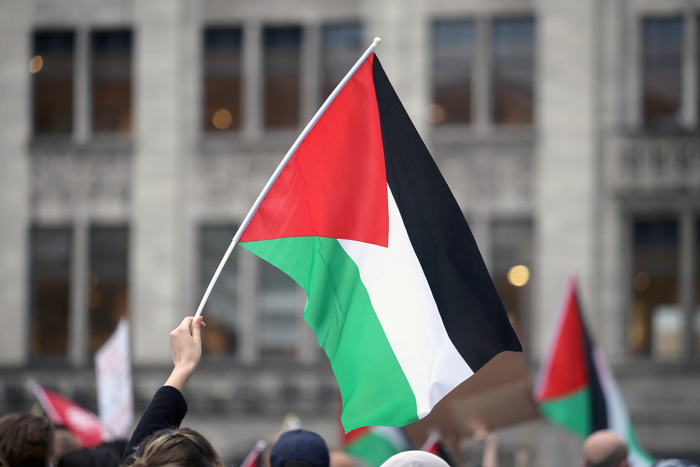 Palestinian,Waving,Flags,In,Amsterdam