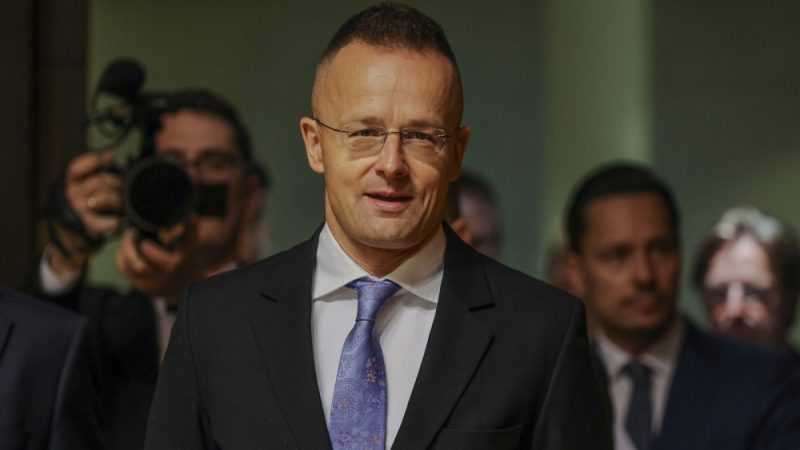 Ungarischer Außenminister hofft auf eine „Stimme des Friedens“ im EU-Parlament