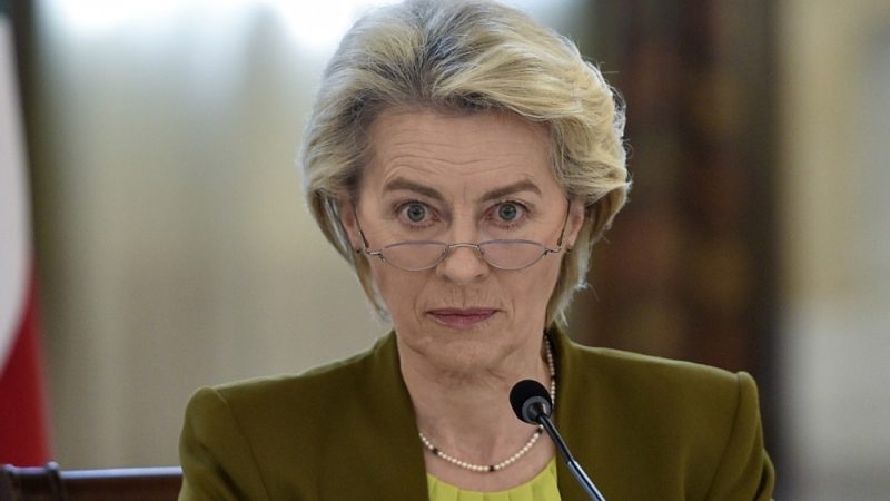 EU Sozialdemokraten, Grüne und Liberale warnen von der Leyen: Nein zum Rechtsbündnis