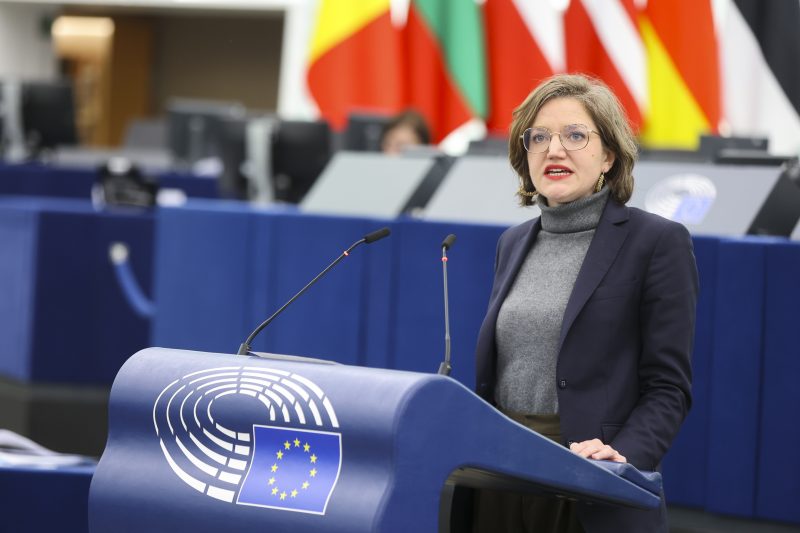 EU-Wahl: Die französischen Grünen verlieren an Boden