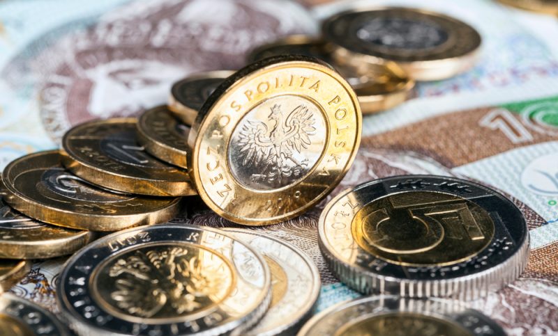 Polens Opposition lehnt Euro-Einführung ab und präsentiert alternativen Wechselkurs