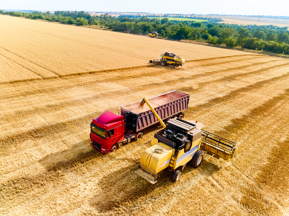 Aerial,Drone,View.,Overloading,Grain,From,Combine,Harvesters,Into,Grain