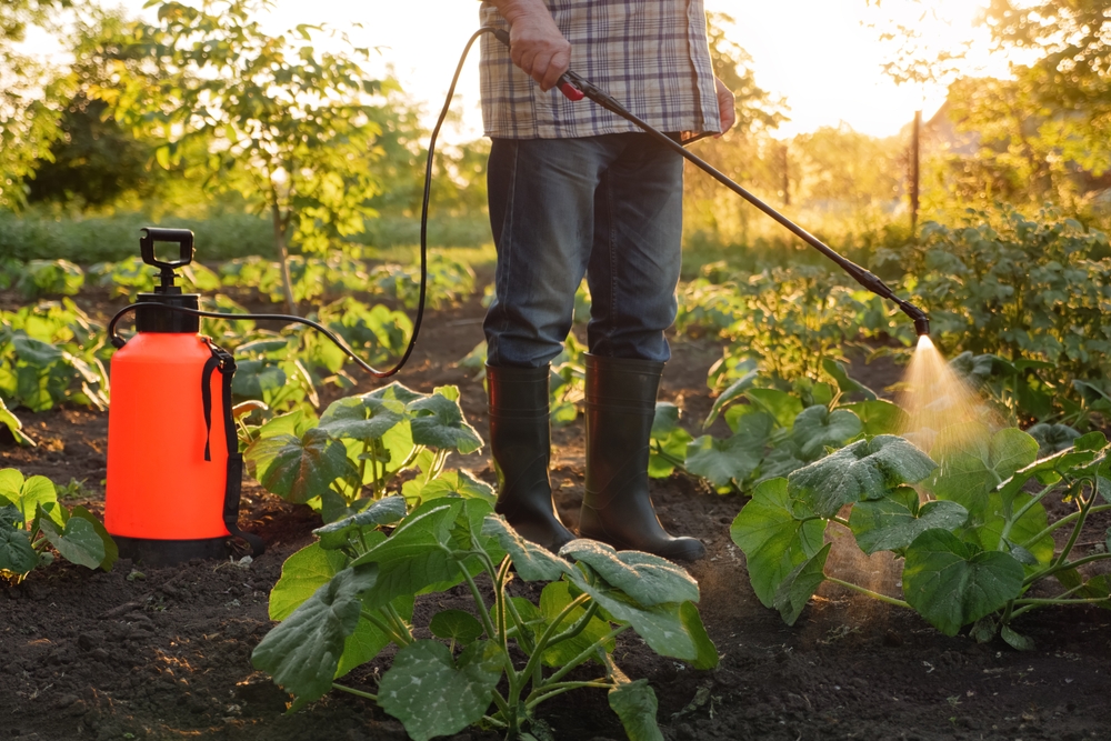 Farmer,Spraying,Pesticide,Sprayer,Garden,Farm,Vegetable,Garden,Spraying,Crop