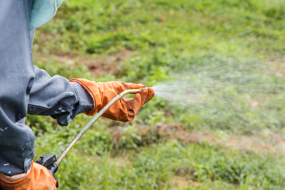 NGOs verklagen EU-Kommission wegen Glyphosat-Wiederzulassung