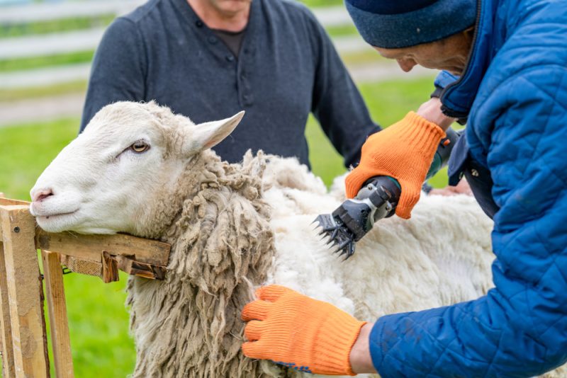Landwirte kritisieren Schwächen vom europäischen Anti-Greenwashing-Gesetz