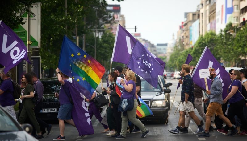 Volt stellt 22 Kandidaten für französische Parlamentswahl vor