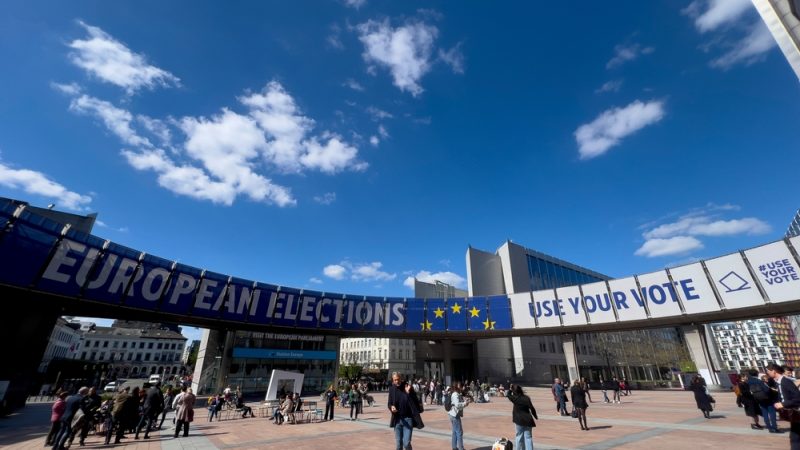 EU-Wahl: Kommission wird keine zusätzlichen Maßnahmen gegen Desinformation ergreifen