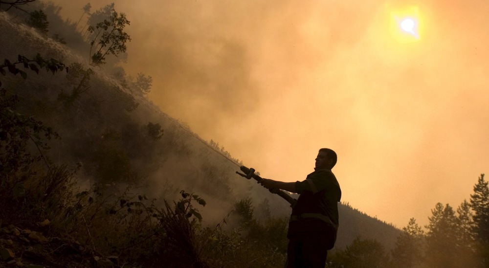 BULGARIA FIRE FOREST