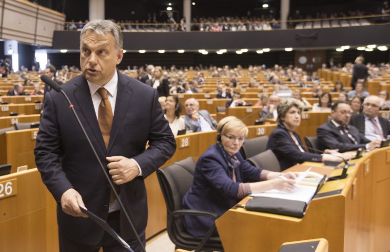"Patrioten für Europa" voraussichtlich drittstärkste Kraft im Europaparlament