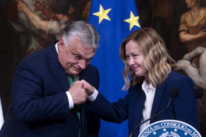 Analyst: "Patrioten für Europa" gefährden traditionelle Konservative