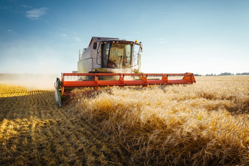 Französische Landwirte fordern EU-Hilfe wegen schlechter Getreideernte