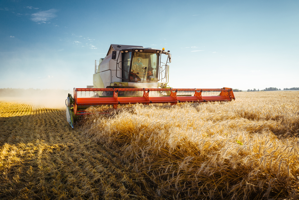 Französische Landwirte fordern EU-Hilfe wegen schlechter Getreideernte