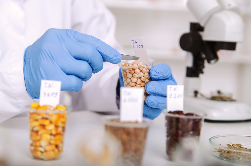 Chemical,Laboratory,Of,The,Food,Supply,.,Food,In,Laboratory,