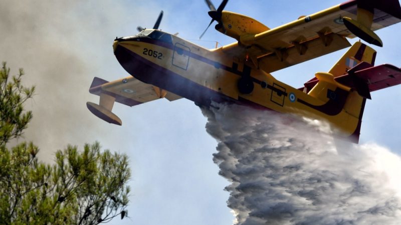 Griechische Waldbrände: EU und Griechenland sollten Ansatz ändern
