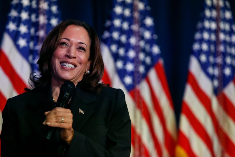 Präsidentschaftskandidatin der US-Demokraten: Kamala Harris wirbt für Kontinuität