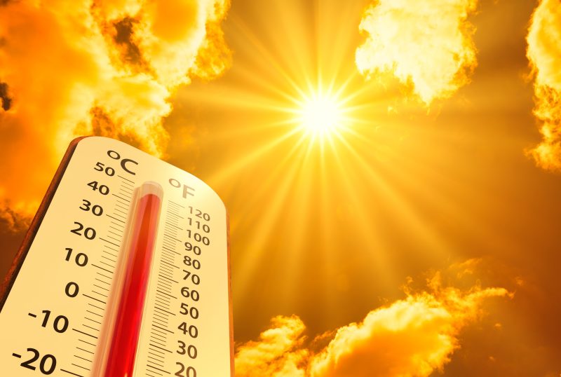 Weltklimarat vertagt Entscheidung über nächste Klimabewertungen