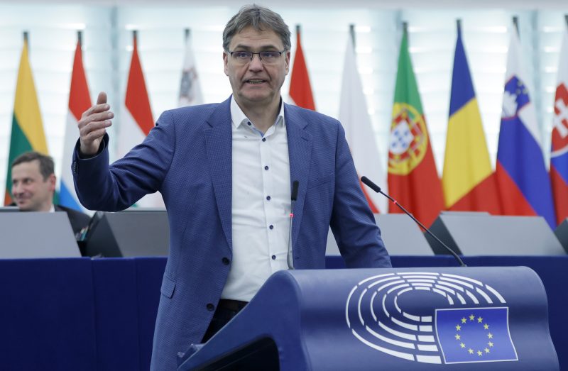 EU-Entwaldungsgesetz: Konservative fordern Verzögerung