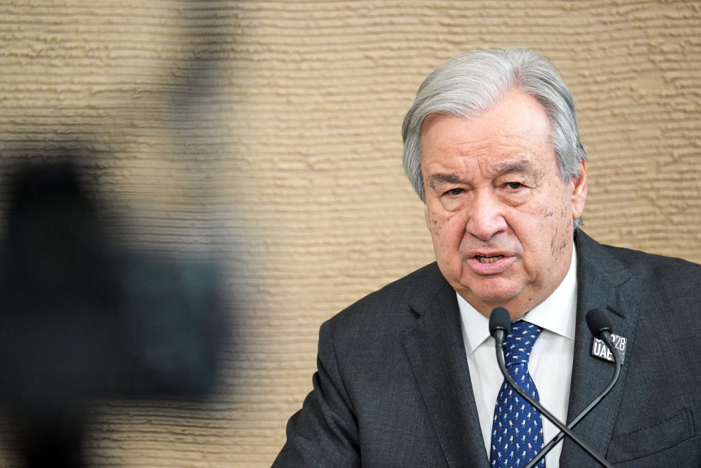 United Nations Climate Change Conference (COP28) in Dubai