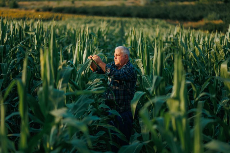 Portugiesische Landwirte mit hohen Erwartungen an neuen EU-Agrarkommissar