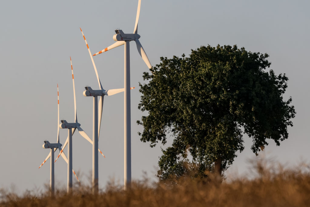 Wind Power Develops In Poland As Global Energy Independence Day Approaches