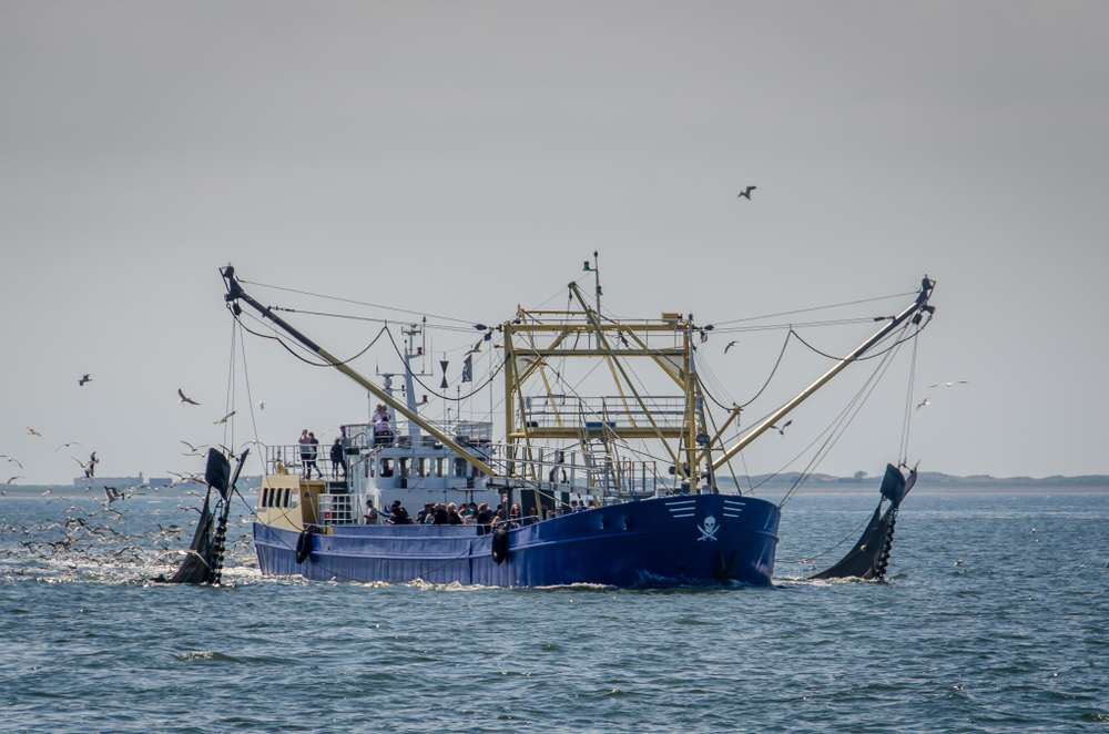 Dutch,Fishingboat,Fishing,For,Shrimps,In,The,Waddensea