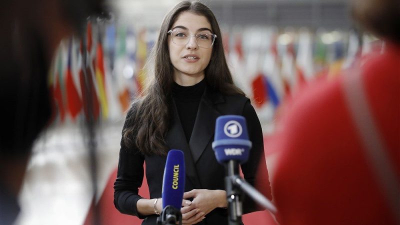 Klimaziele: Schwedische Klimaministerin vor Verfassungsausschuss angezeigt