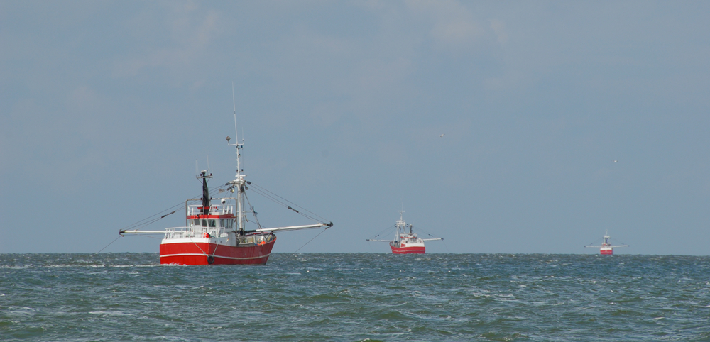 Ballet,Of,Trawlers,-,Fishing,Boats,Pull,The,Trawls,Near