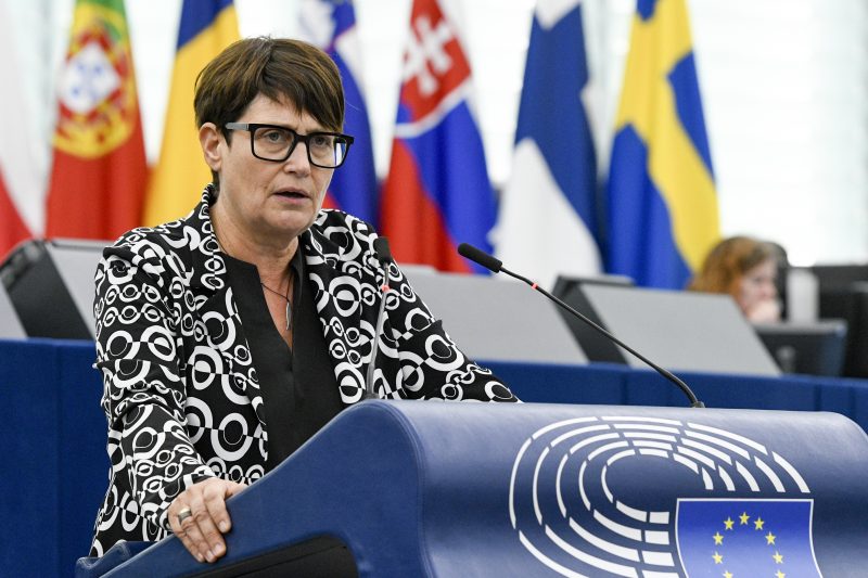 EU-Entwaldungsverordnung: CDU-Verhandlungsführerin nimmt "kein Risiko"-Kategorie zurück