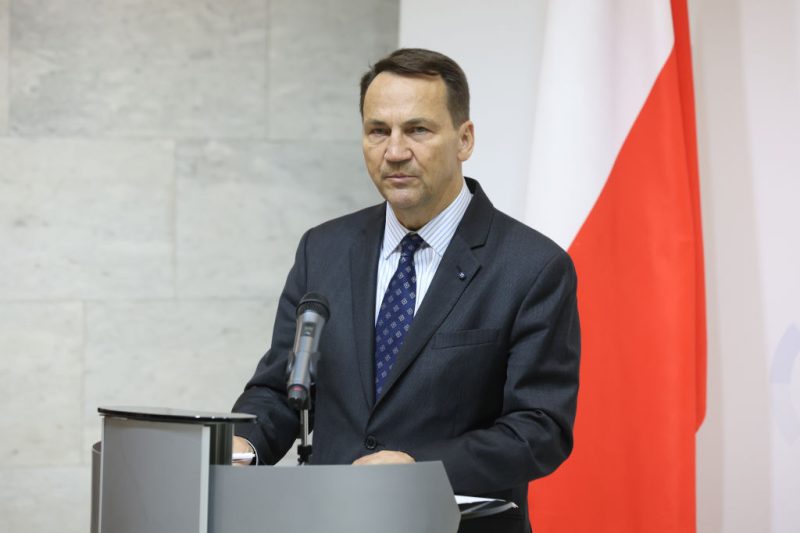 Polen will EU-Verteidigungspolitik nach Trump Sieg anführen
