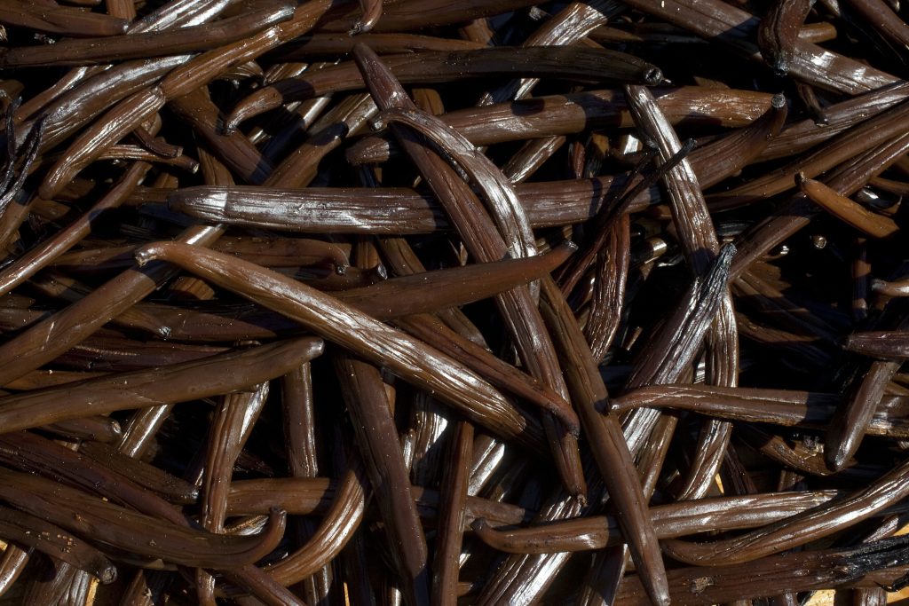 drying vanilla pods in the sun – Le Grand Hazier-Ste. Suzanne on Ile de la Reunion