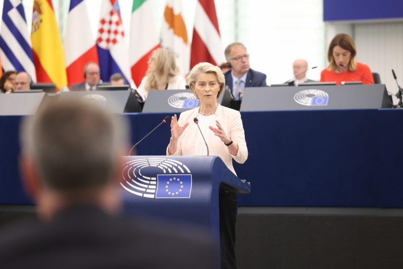 EVP forcierte 2024 Richtungswechsel in der EU-Umweltpolitik