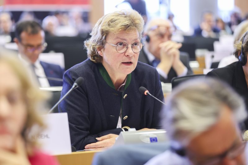 EU-Abgeordnete im Schlagabtausch: Streit um NGO-Finanzierung 