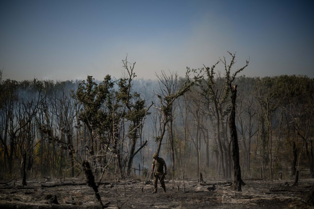 Volunteer search group identifies remains of soldiers found on battlefield in Ukraine
