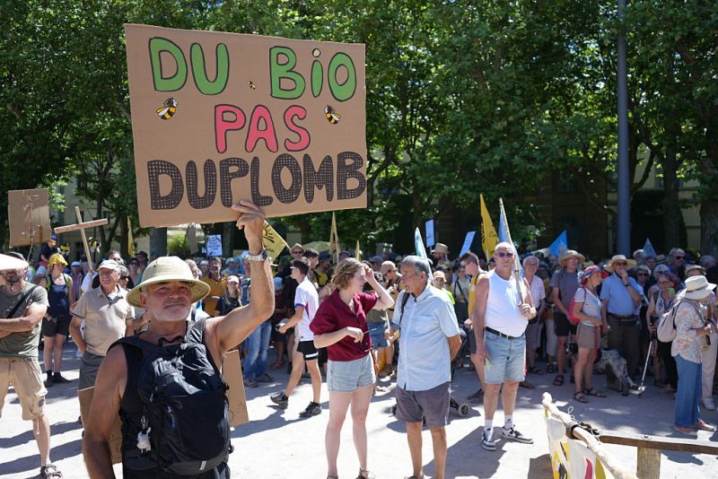 Frankreichs Verfassungsrat kippt Neuregelung zu Pestiziden