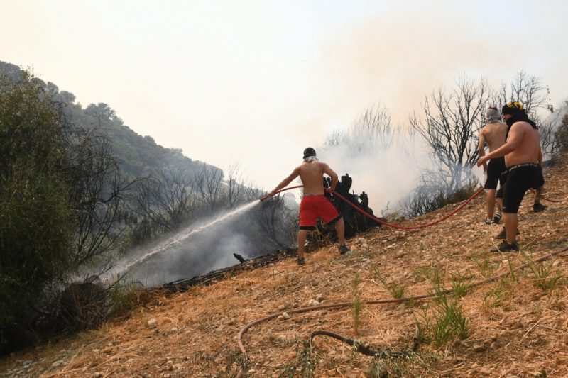 Griechische Feuerwehr erzielt Fortschritte im Kampf gegen Waldbrände