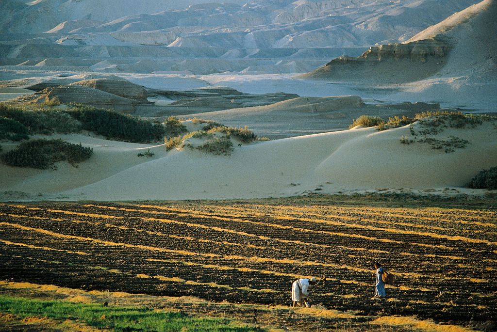 Umstrittene Westsahara-Klausel: EU sucht Ausweg im Handelsabkommen mit Marokko