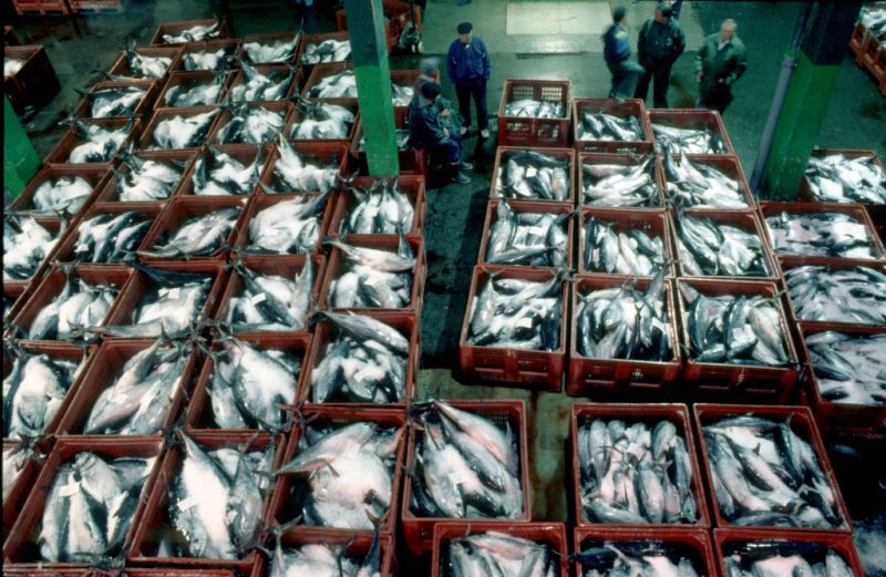 Thailands Thunfischbranche fordert Zollfreiheit in der EU