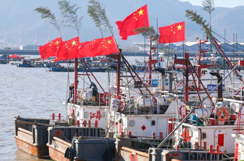 EU soll China wegen „unersättlicher“ Tintenfischfischerei zur Rede stellen