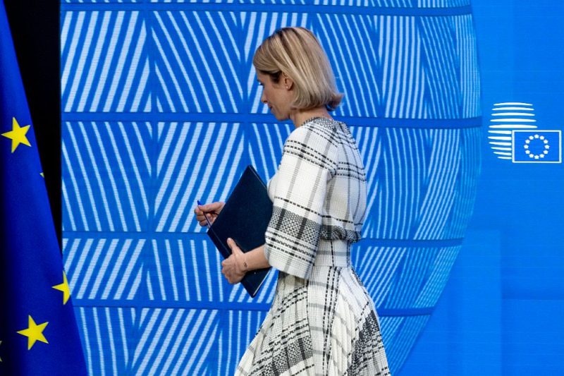 Der EAD in der Krise: Wer spricht für Europa?